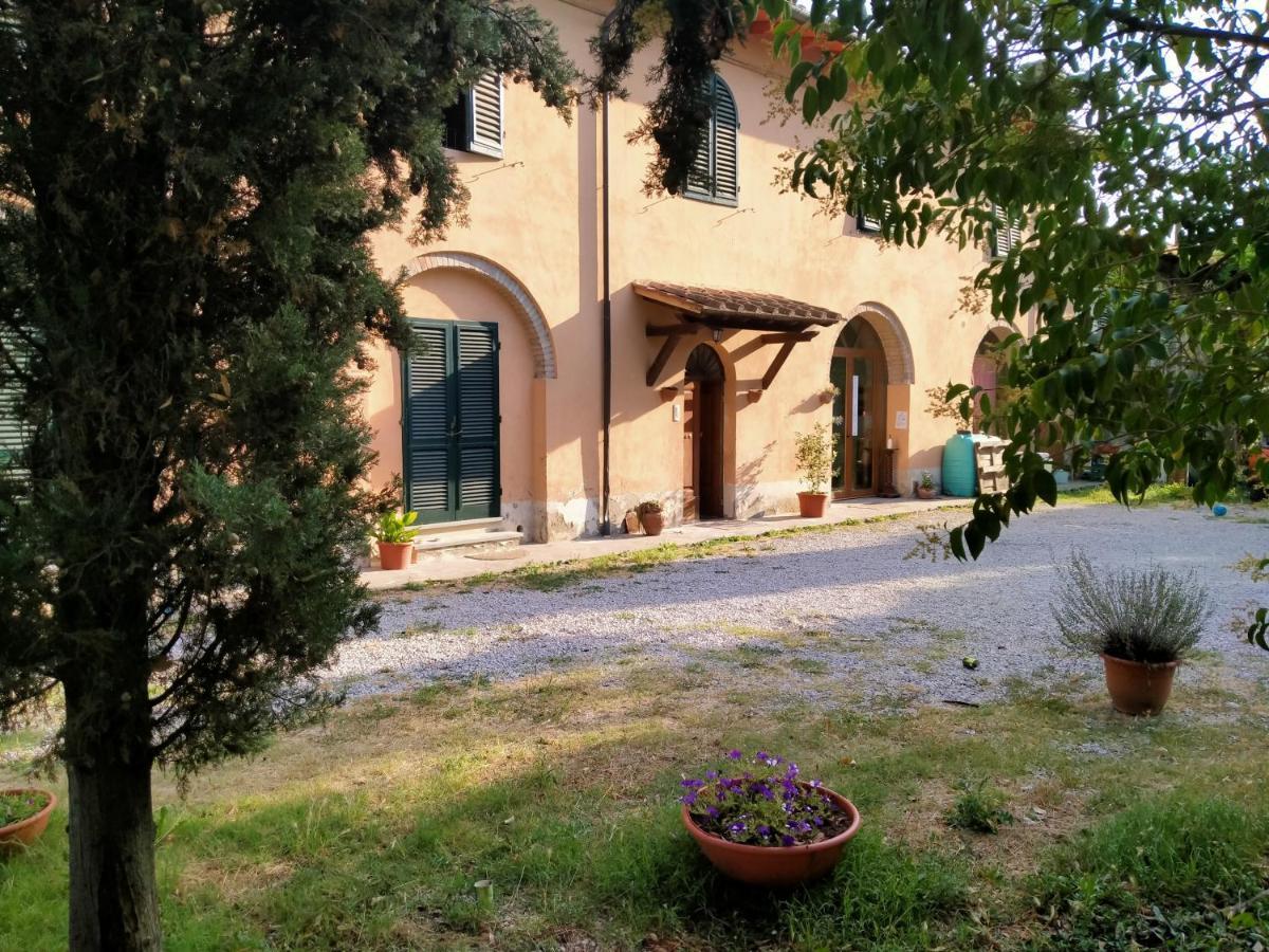 カステルフィオレンティーノ Agriturismo I Due Falcettiヴィラ エクステリア 写真